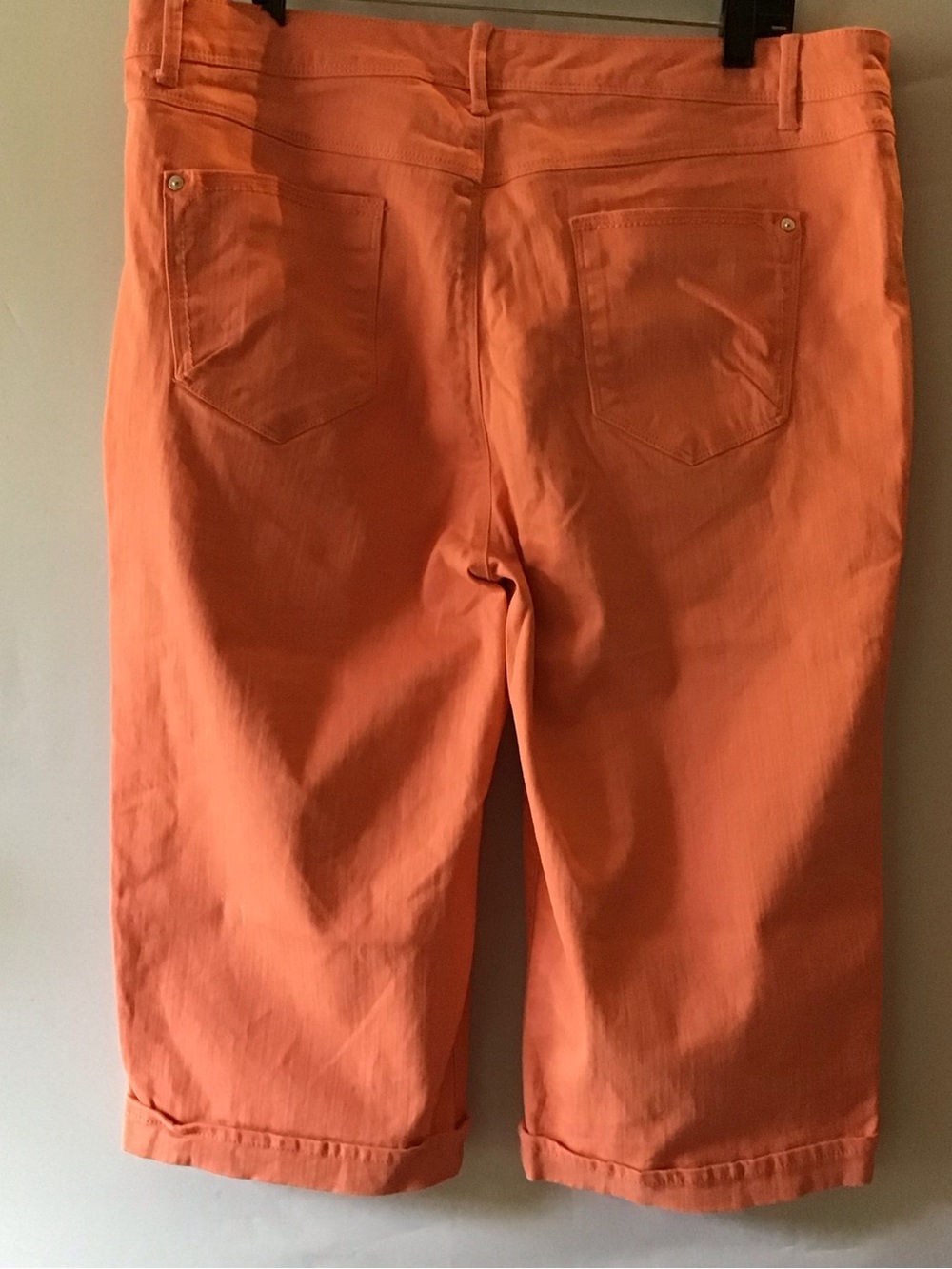 383 Gloria Vanderbilt Coral Crop Capri Pants - Picture 2 of 9